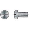 M6x60 SLOTTED PAN HEAD SCREW A2  thumbnail-1