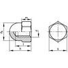 M16 HEX DOME CAP NUT HIGH A1 (50) thumbnail-0