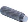 M12 x 12 SKT SET SCREW DOG (14.9) thumbnail-4